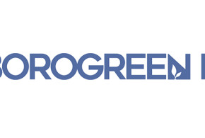 BorogreenL-logo2