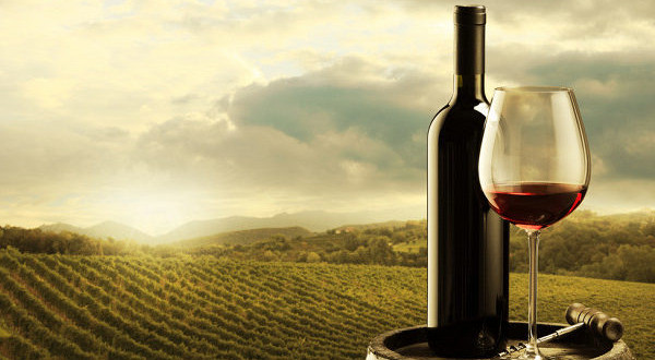 Exportul vinurilor moldovenești înregistrează cel mai înalt nivel din ultimii 5 ani