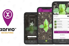 BASF şi Bosch îşi extind cooperarea pentru agricultură digitală xarvio