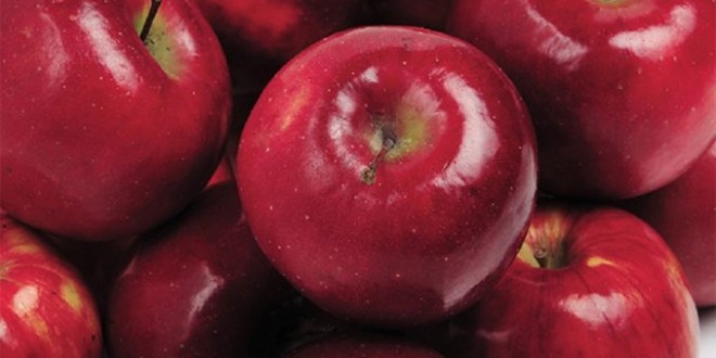 Prețul merelor moldovenești vândute în țările CSI și România s-a majorat