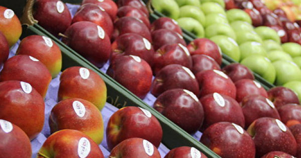 Moldova a exportat în Federația Rusă fructe în valoare de 200 mln de dolari