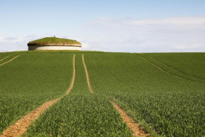 Recoltele din Europa, afectate de pandemia de COVID-19. Mai multe state se confruntă cu o penurie de muncitori sezonieri muncitori