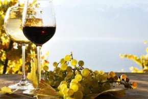 Pandemia de COVID-19 ar putea scădea cu 30%-50% exportul produselor vitivinicole autohtone vin