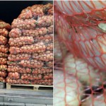 ANSA a returnat un lot de 21 de tone de cartofi din România care urma să ajungă în magazinele din țară. Ce au depistat inspectorii?