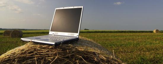 O companie din România investește 40 000 Euro într-o piață online pentru fermieri