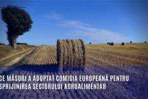 sector_agroalimentar2