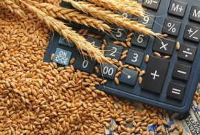 Prețul grâului – în creștere la nivel mondial. Presiune mare pe stocurile din UE pret-grau