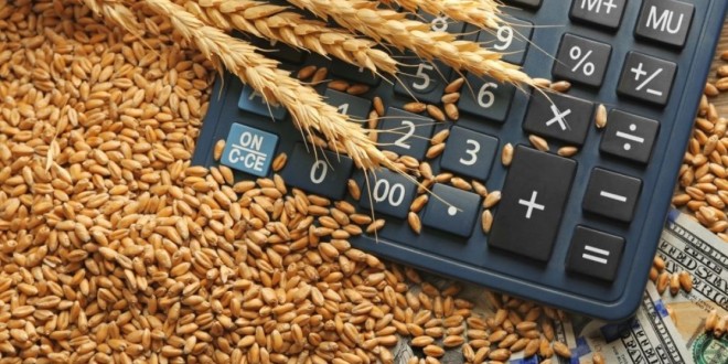 Prețul grâului – în creștere la nivel mondial. Presiune mare pe stocurile din UE