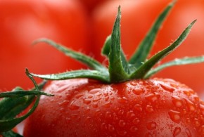 Italia şi Spania - principalii producători de roșii ai UE tomate