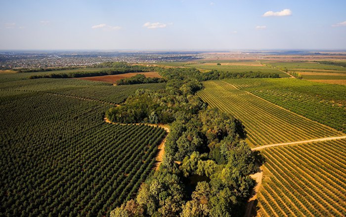 Cu cât a scăzut producția agricolă în primele 9 luni. Date statistice agricultura