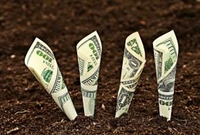 AIPA acordă subvenții în avans pentru îmbunătăţirea nivelului de trai şi de muncă în mediul rural bani