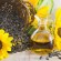 Situația de pe piața oleaginoaselor: exporturile de semințe de floarea-soarelui bat recorduri, cele de ulei – se prăbușesc