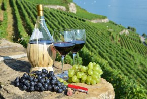 Italia, Spania și Franța – cei mai mari producători și exportatori de vin din UE