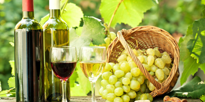 Guvernul a aprobat modificarea Legii viei și vinului