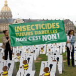 Franța va permite utilizarea neonicotinoidelor la sfecla de zahăr