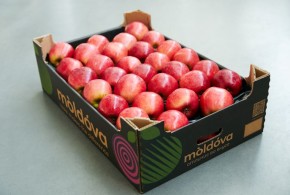 Merele moldovenești de calitate vor fi comercializate în ambalaj nou mere2