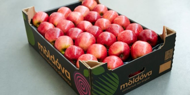 Încă 12 companii din Moldova vor putea exporta fructe și legume în Federația Rusă