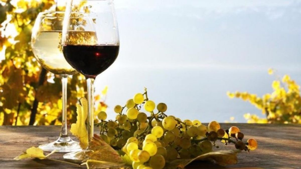 Vinurile autohtone au obținut un număr record de 956 de medalii la 32 de concursuri internaționale în 2020 vin