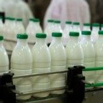 Studiu: În R. Moldova, cantitatea de lapte importat e de zece ori mai mare decât cel exportat