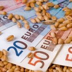 Prețul grâului trece de 300 euro/tona