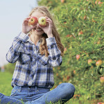 Rak 3+4 – Борьба с яблонной плодожоркой и листовертками
