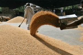 egipt-grau2-660×330