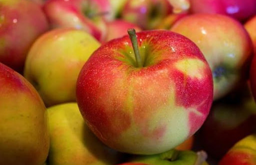 Rusia ar putea introduce cote la importul de mere și prune sau să interzică complet importul acestora