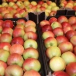 Rusia interzice importul de produse agricole din Republica Moldova