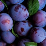 Prunele moldovenești, tot mai apreciate în străinătate