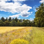 BASF Agricultural Solutions lansează un program de reducere a emisiilor de CO2 din ferme