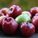 În ianuarie, Moldova a exportat cu 86% mai multe mere decât în aceeași lună a anului trecut