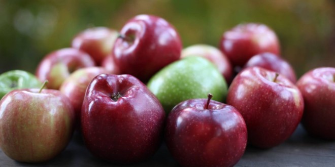 În ianuarie, Moldova a exportat cu 86% mai multe mere decât în aceeași lună a anului trecut