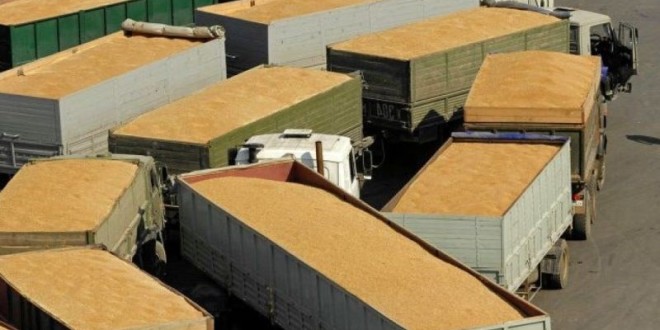 Ucraina vrea să reia exportul de cereale pe calea ferată prin Republica Moldova și România