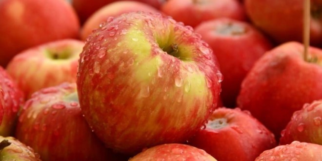 Война России существенно затронет молдавских фермеров, больше всего пострадают производители яблок