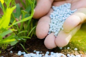 ingrasaminte-chimice