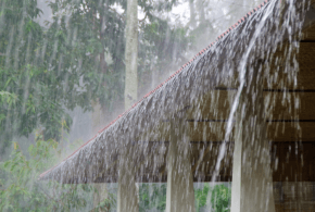 Meteorologii au emis coduri galbene de ploi puternice și înghețuri ploi