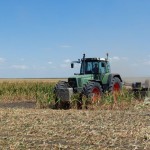 Unii fermierii din România afectați de secetă au început tocarea porumbului și pregătesc semănatul culturilor de toamnă