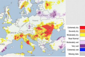 Raport: Peste jumătate din Europa, sub avertizare de secetă seceta2