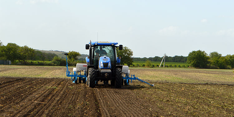 La Agrocentru BASF a început semănatul rapiței rapita1