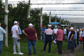 Tehnologia RAC 3+4 – o metodă inovativă de la BASF pentru protejarea livezilor de măr de dăunători seminar2