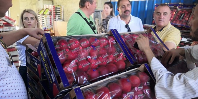 Producătorii moldoveni de mere vor testa piața din Egipt