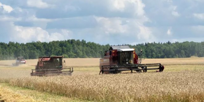 Bloomberg: Rusia obține o producție record de grâu, dar nu poate să-l exporte și nici nu mai are silozuri unde să-l țină