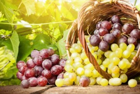 Circa 60 de soiuri de struguri vor fi eligibili investițiilor din Fondul național de dezvoltare a agriculturii struguri