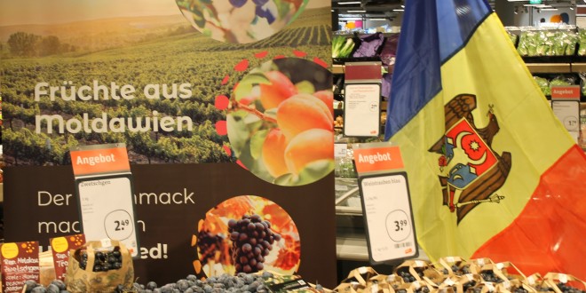 Fructele și strugurii moldovenești – promovate în magazinele din Germania