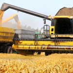 Criza prețurilor la cereale în UE și exportul grânelor di Ucraina. Miniștrii Agriculturii din cinci țări europene cer prelungirea restricțiilor
