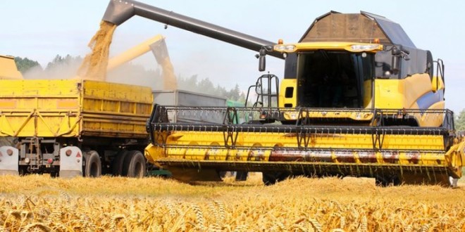 Recolta de cereale a Ucrainei ar putea scădea la jumătate în 2023 comparativ cu 2022