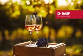 basf-vin