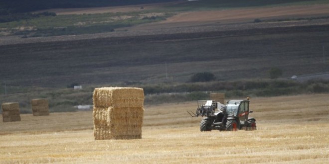 Cea mai mare companie agricolă din Federația Rusă cultivă o suprafață cât aproape toate terenurile Republicii Moldova. Vezi Top-10 latifundiari din Rusia