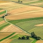Piața funciară a UE: Hectarul de teren arabil a ajuns mai scump în România decât în Bulgaria și Franța
