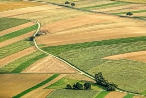 Piața funciară a UE: Hectarul de teren arabil a ajuns mai scump în România decât în Bulgaria și Franța teren_agricol
